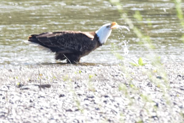 April 2024 198 Photography Art | Photos By Regan