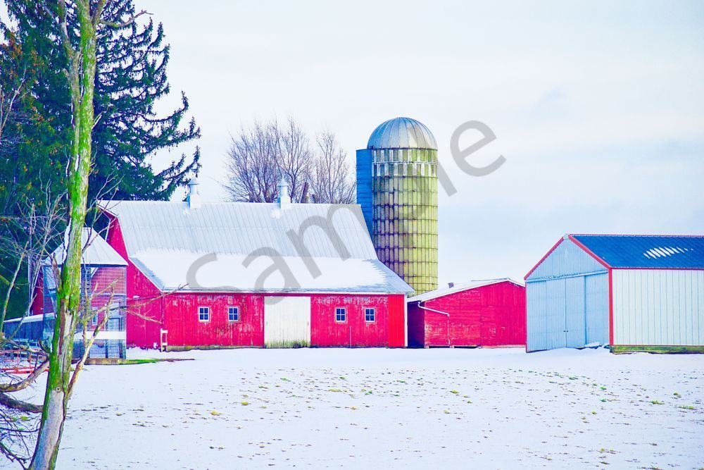 Full Year 2023 1 Photography Art | Photos By Regan