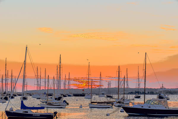 Full Year 2023 359 Photography Art | Photos By Regan