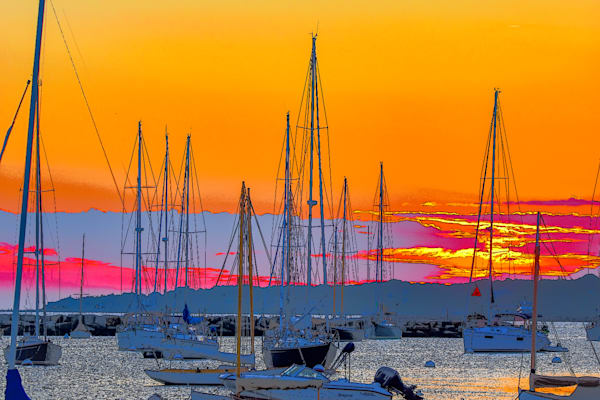 Full Year 2023 357 Photography Art | Photos By Regan