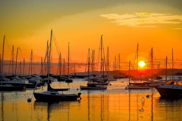 Full Year 2023 304 Photography Art | Photos By Regan