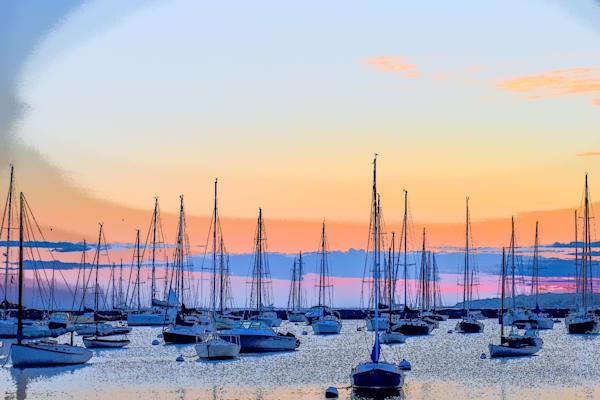 Full Year 2023 382 Photography Art | Photos By Regan