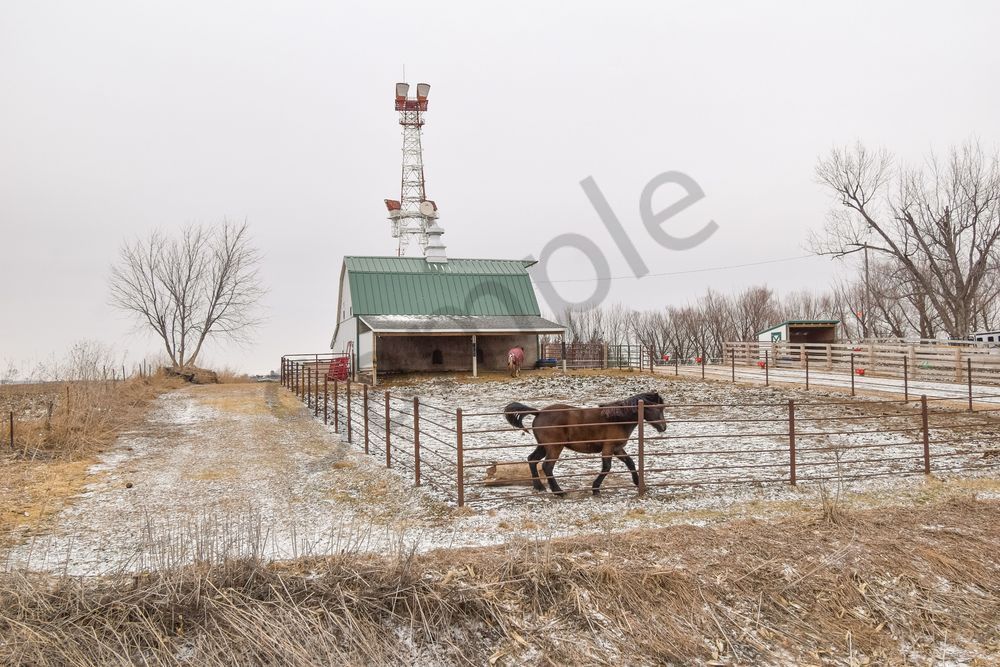 Farmhouses 51.Jpg Photography Art | Photos By Regan
