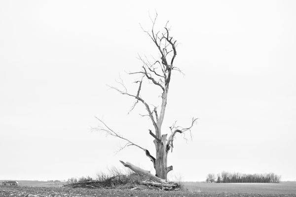 Farmhouses 35.Jpg Photography Art | Photos By Regan