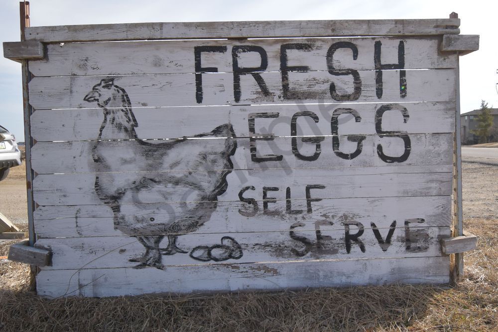 Farmhouses 131 Photography Art | Photos By Regan