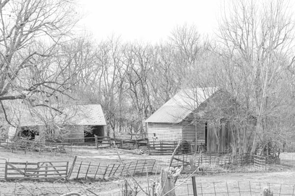 Desoto Countryside 15 Photography Art | Photos By Regan