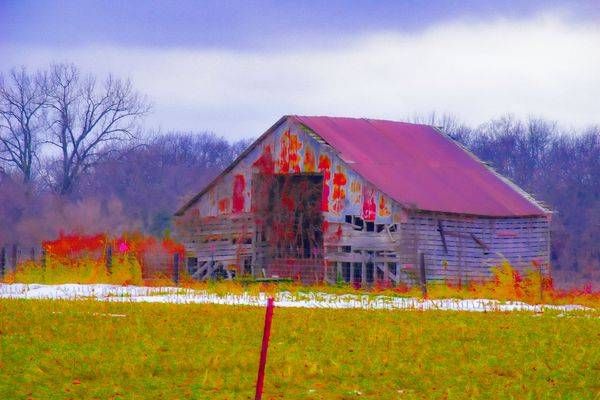 December 2025 761 Photography Art | Photos By Regan