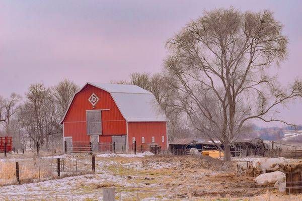December 2025 662 Photography Art | Photos By Regan