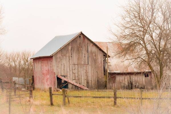 December 2025 115 Photography Art | Photos By Regan