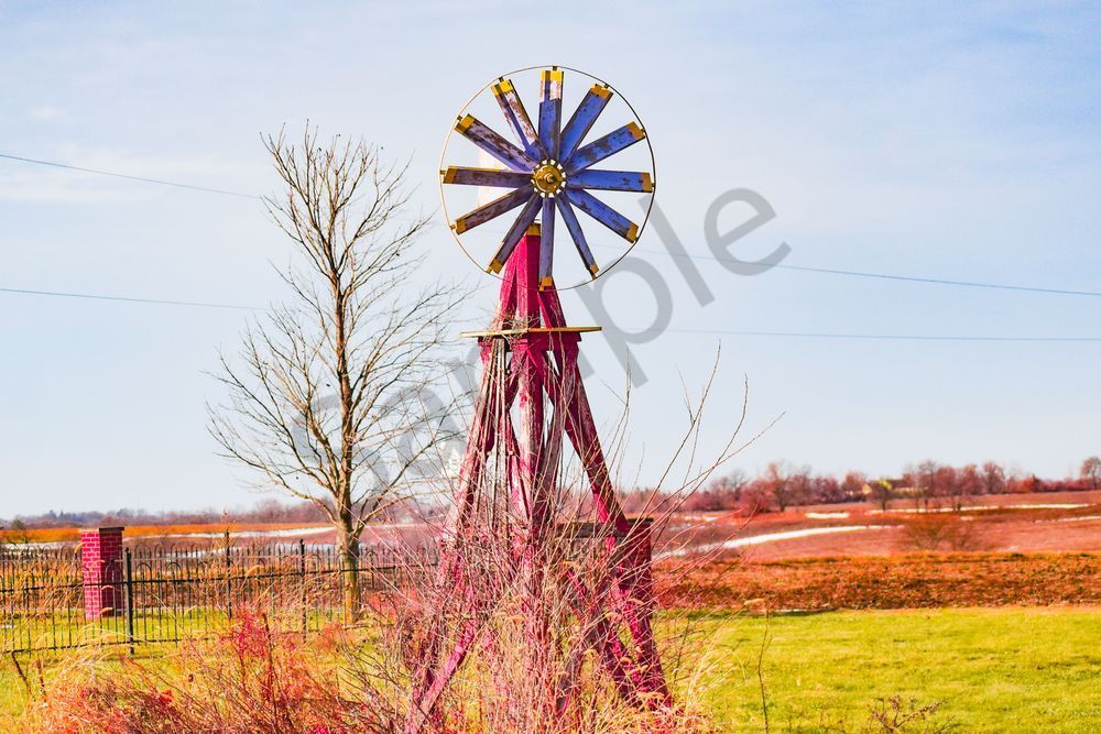 December 2025 243 Photography Art | Photos By Regan