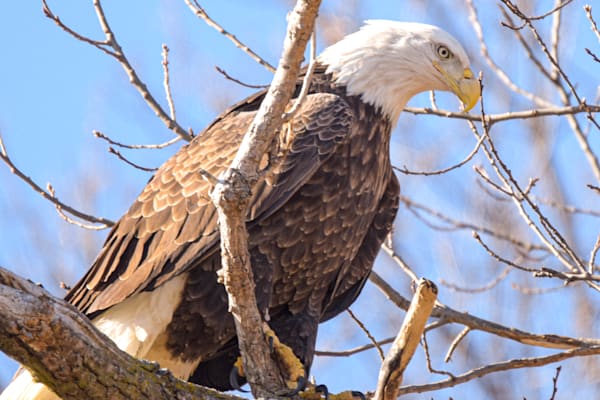 December 2024 522 Photography Art | Photos By Regan