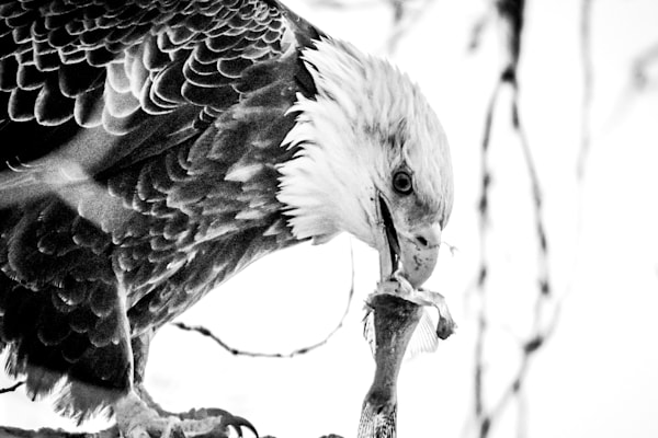 December 2024 402 Photography Art | Photos By Regan