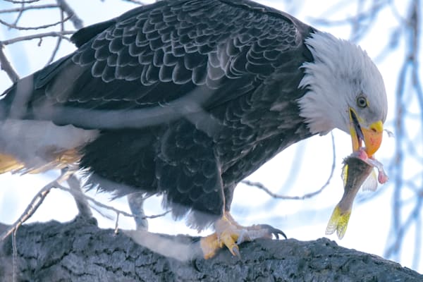 December 2024 401 Photography Art | Photos By Regan