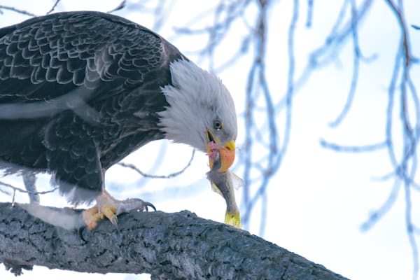 December 2024 400 Photography Art | Photos By Regan