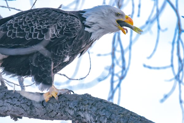 December 2024 395 Photography Art | Photos By Regan