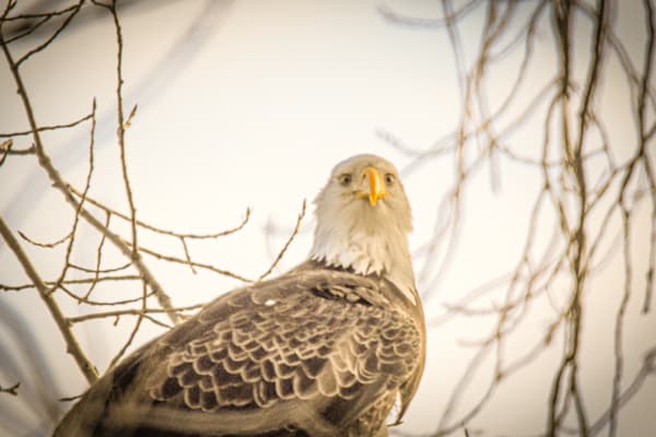 December 2024 377 Photography Art | Photos By Regan