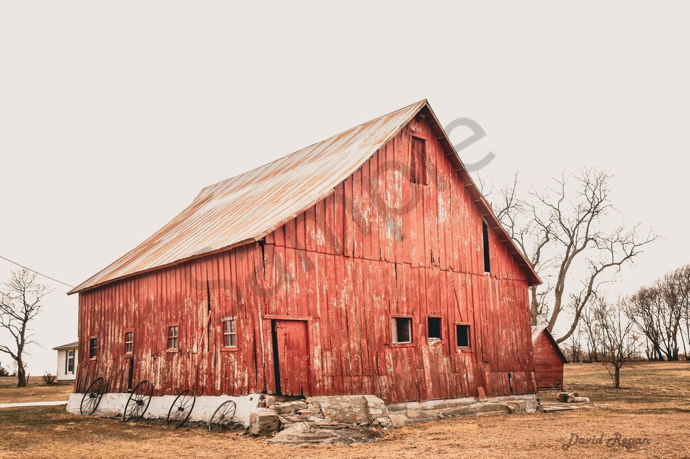 Earlham Farms 8 Photography Art | Photos By Regan