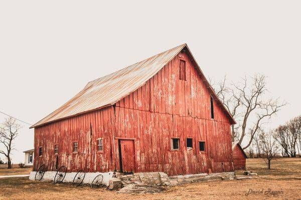 Earlham Farms 8 Photography Art | Photos By Regan