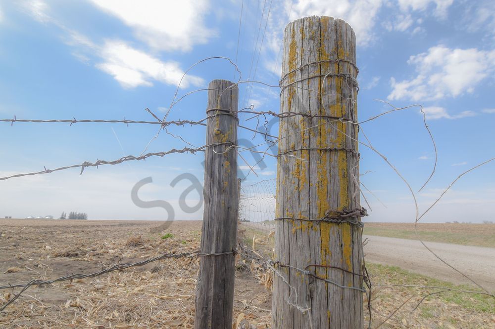 Earlham Farms 63 Photography Art | Photos By Regan