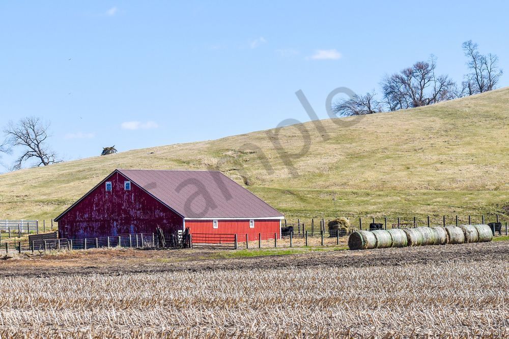 Earlham Farms 90 Photography Art | Photos By Regan