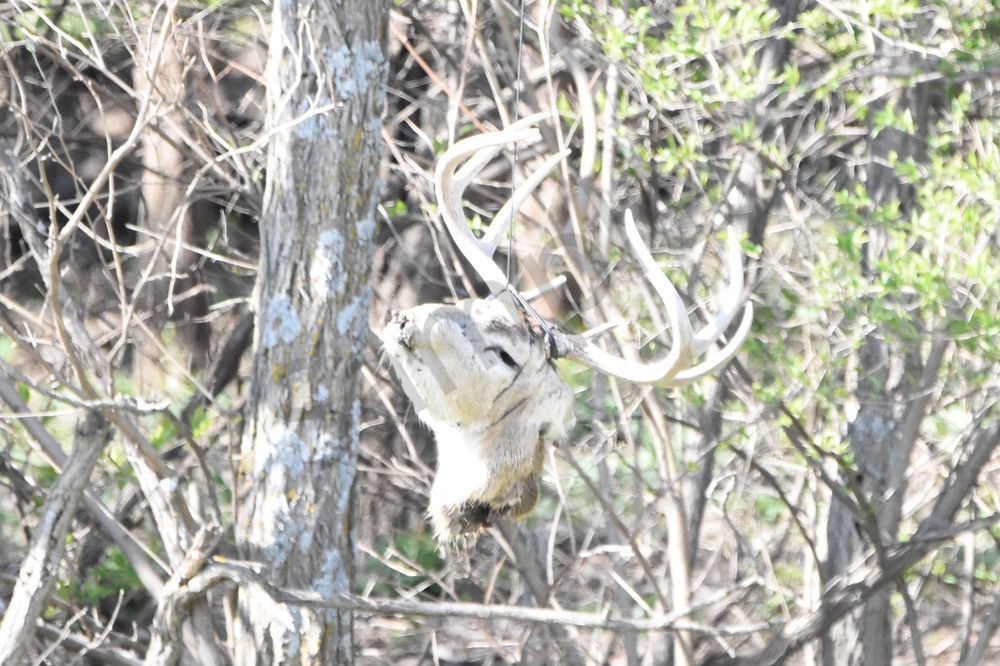 Eagles Nest 7 Photography Art | Photos By Regan