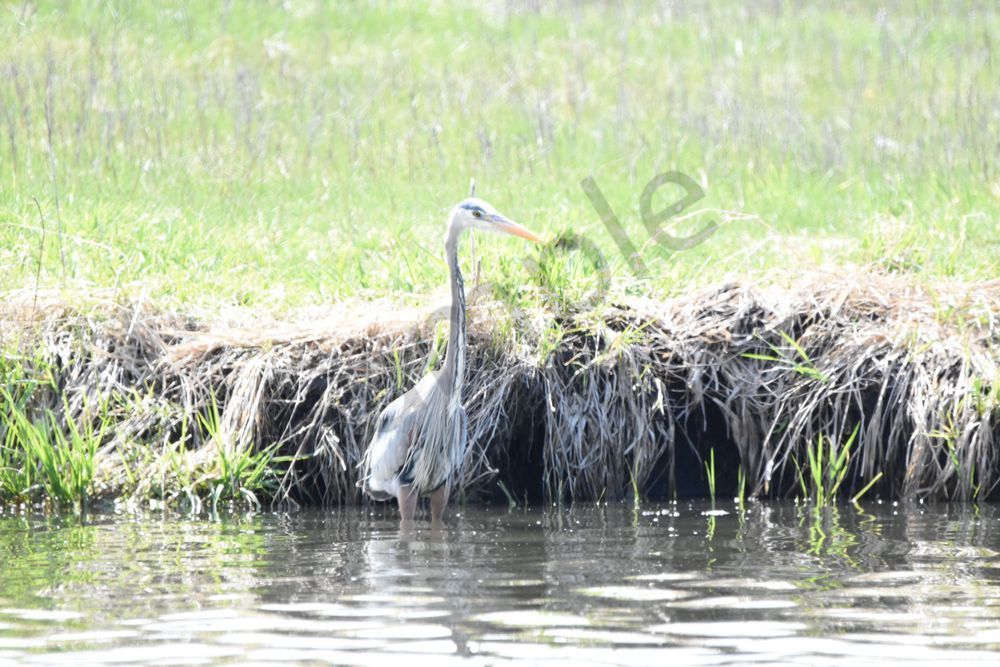 Eagles Nest 22 Photography Art | Photos By Regan