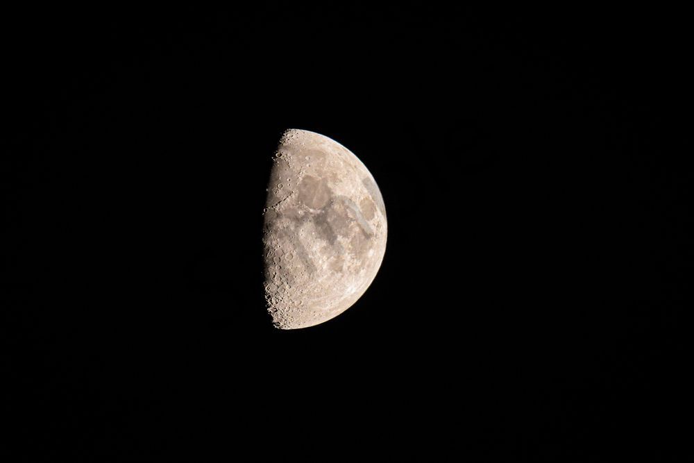 July 2025 743 Photography Art | Photos By Regan