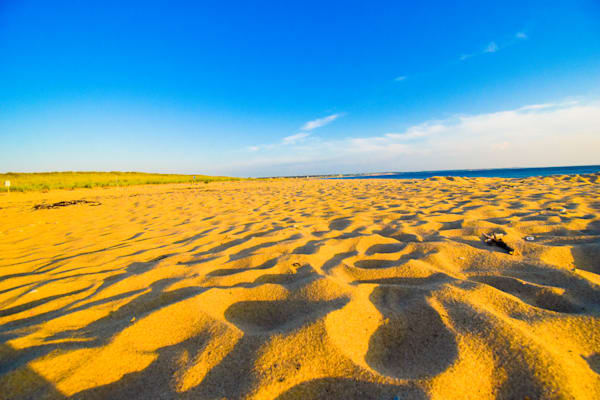 July 2025 67 Photography Art | Photos By Regan