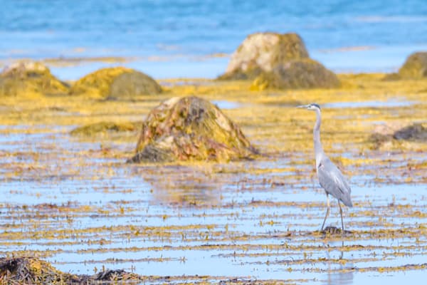 July 2025 358 Photography Art | Photos By Regan