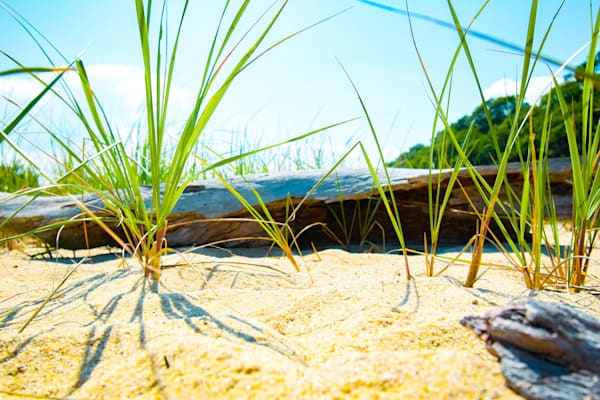 July 2025 312 Photography Art | Photos By Regan