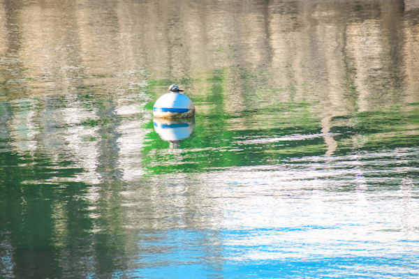 July 2025 226 Photography Art | Photos By Regan