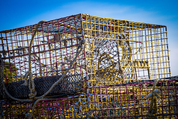 July 2025 120 Photography Art | Photos By Regan