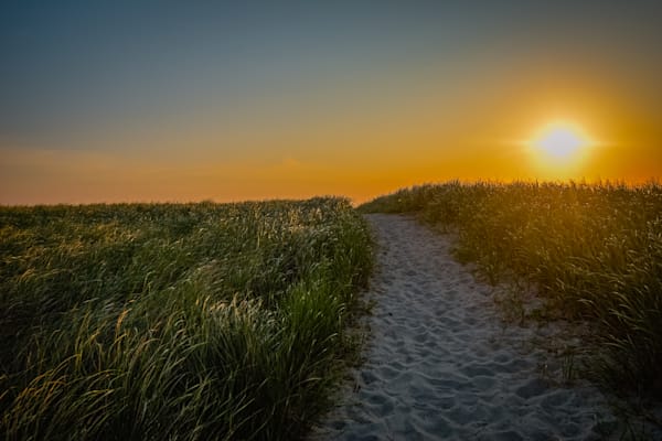 July 2025 99 Photography Art | Photos By Regan