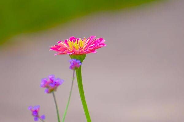 July 2025 966 Photography Art | Photos By Regan