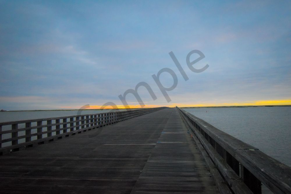 June 2025 685 Photography Art | Photos By Regan