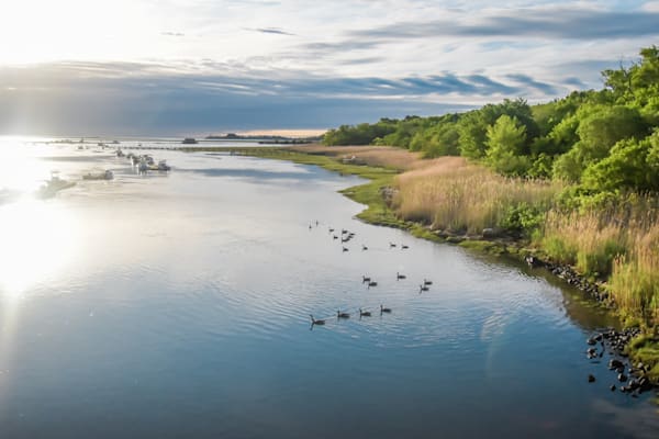 June 2025 560 Photography Art | Photos By Regan