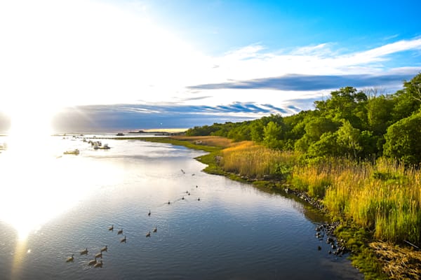 June 2025 544 Photography Art | Photos By Regan