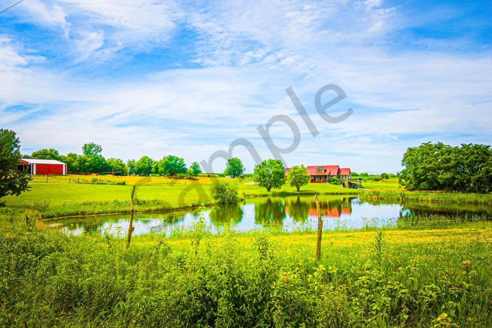 June 2025 18 Photography Art | Photos By Regan