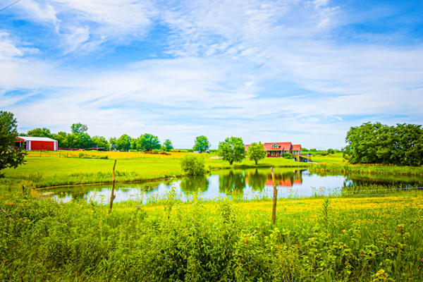 June 2025 18 Photography Art | Photos By Regan