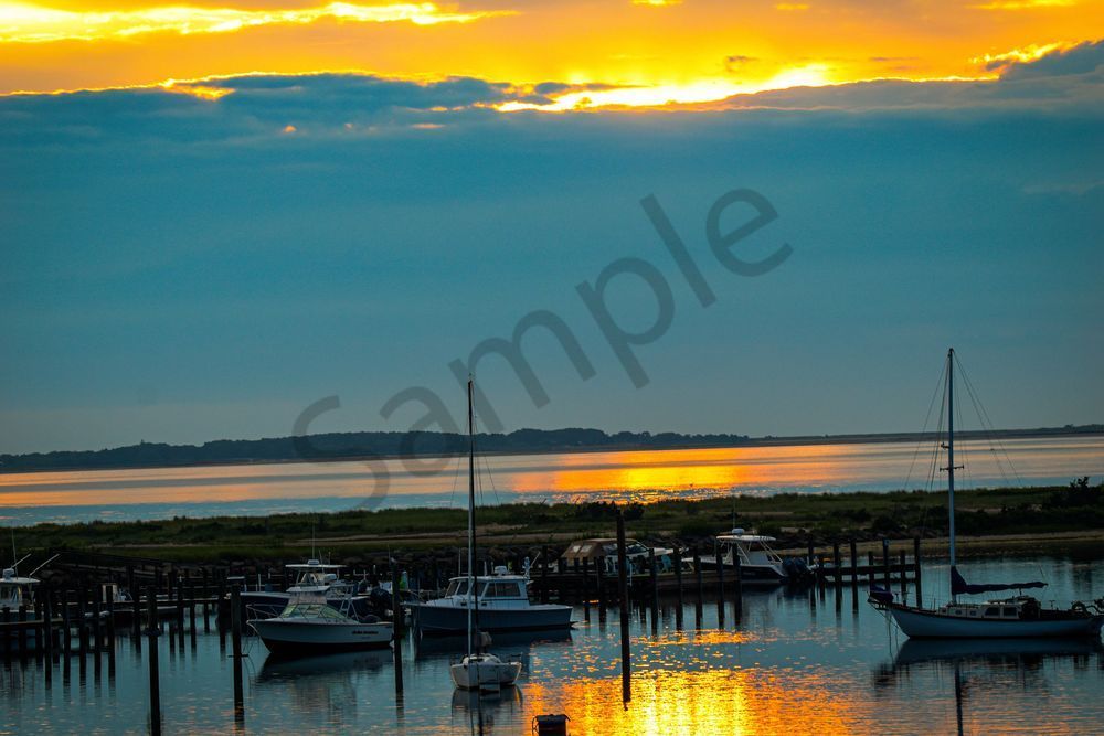 June 2024 492 Photography Art | Photos By Regan