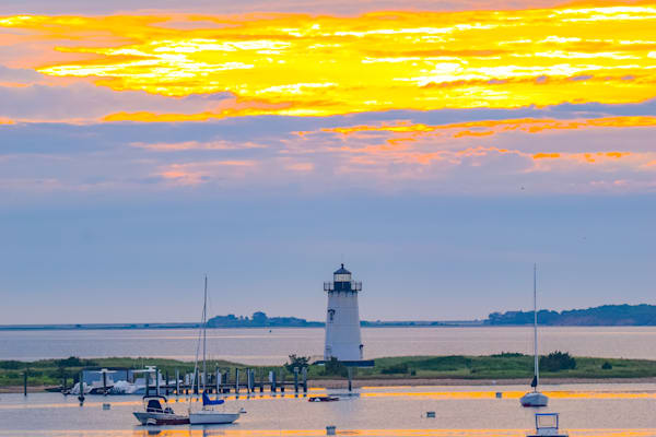 June 2024 463 Photography Art | Photos By Regan