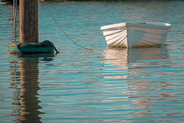 June 2024 423 Photography Art | Photos By Regan