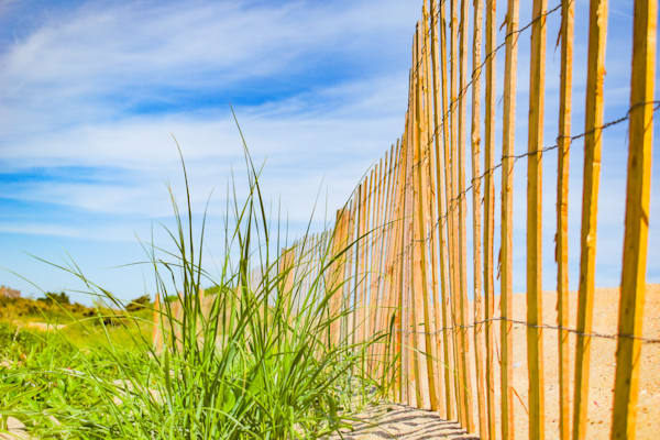 June 2024 396 Photography Art | Photos By Regan