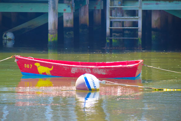 June 2024 367 Photography Art | Photos By Regan