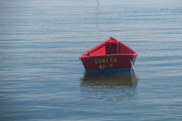 June 2024 375 Photography Art | Photos By Regan