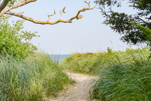 June 2024 250 Photography Art | Photos By Regan