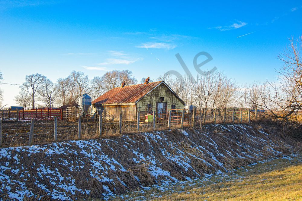 January 2025 134 Photography Art | Photos By Regan