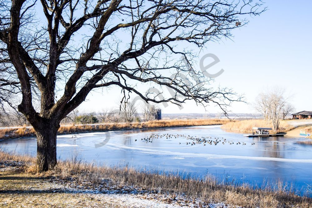 January 2025 297 Photography Art | Photos By Regan
