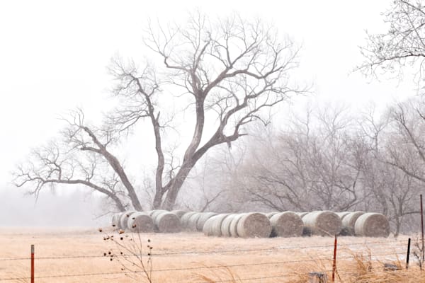 Nebraska Trip 51 2 Photography Art | Photos By Regan