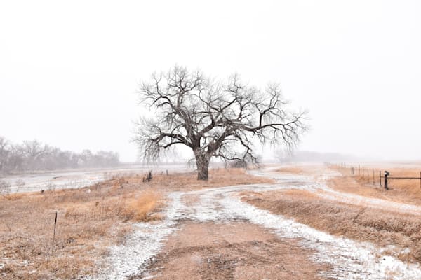 Nebraska Trip 48 2 Photography Art | Photos By Regan